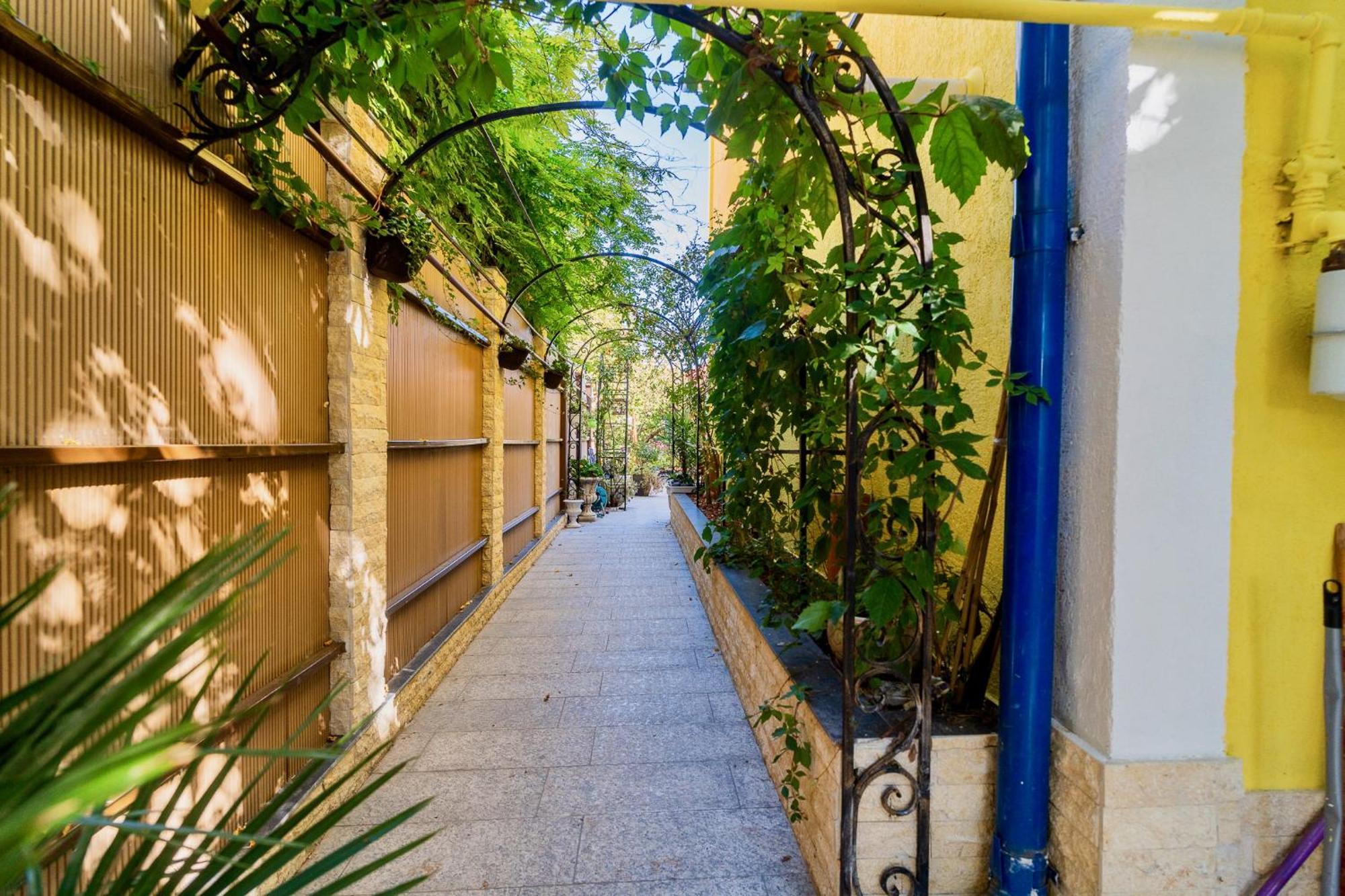 Luxurious Villa With Lush Garden And Huge Terrace Near Herastrau Park Bucureşti Ngoại thất bức ảnh